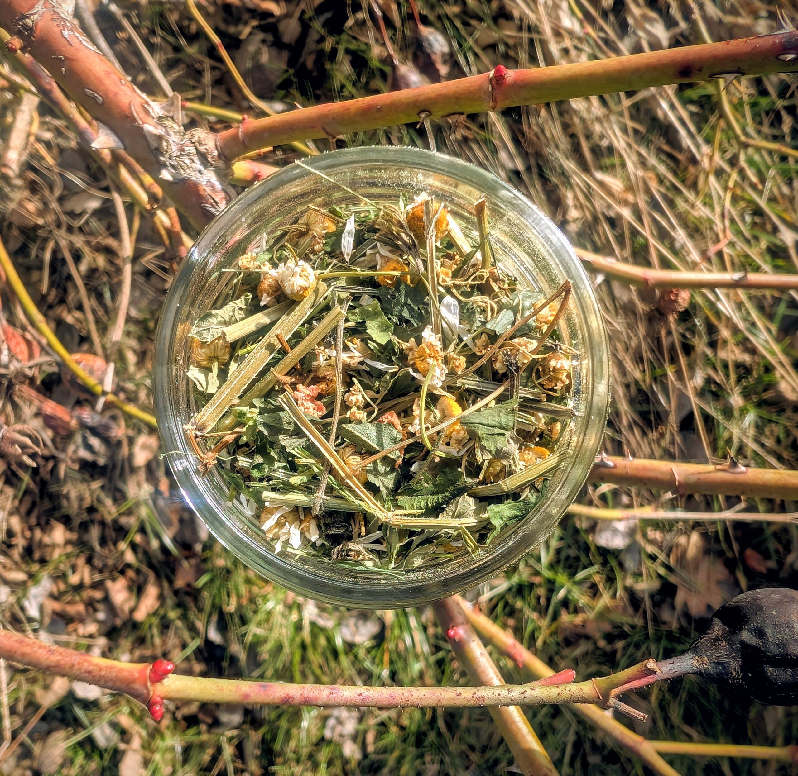 Herbatka ,,Zioła z Ogrodu" - obrazek 2